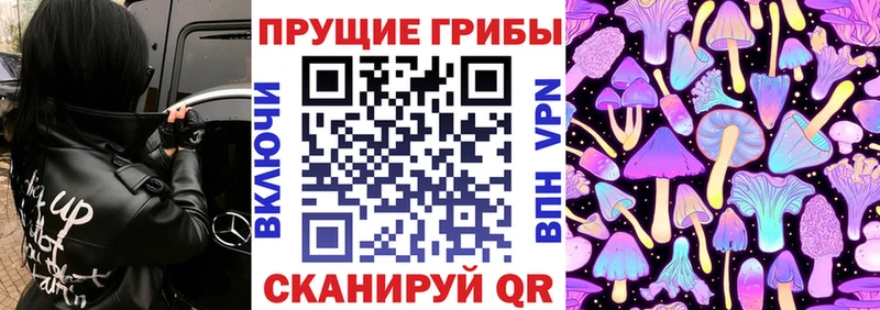 kraken сайт  Алапаевск  Галлюциногенные грибы Psilocybe 