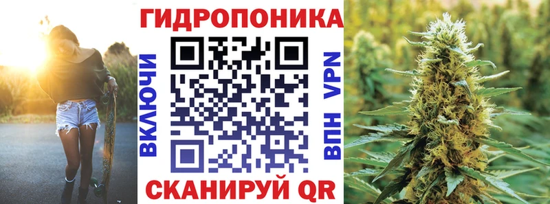 Бошки марихуана THC 21%  купить   гидра вход  Алапаевск 